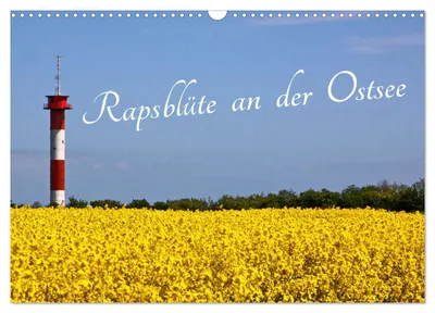 Produktbild von Rapsblüte an der Ostsee (Wandkalender 2027 DIN A3 quer), CALVENDO Monatskalender