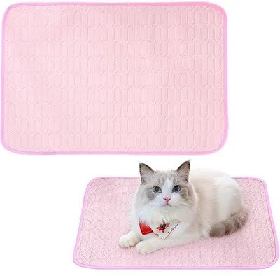 Image de Tapis rafraîchissant pour animaux, 62 x 50 cm, été, latex, lavable