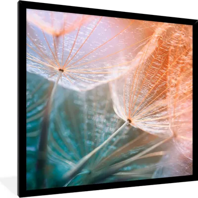 Produktbild von MuchoWow® Gerahmtes Poster Blume - Löwenzahn - Pflanze 40x40 cm - Poster mit Schwarzem Bilderrahmen Wandposter Rahmen Foto Bilder - Mit Rahmen - Wanddekoration Schlafzimmer