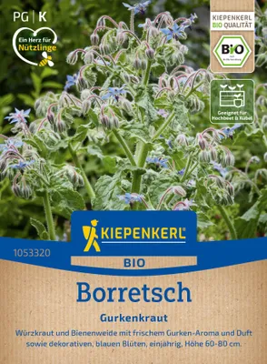 Artikelbild 2 von 'BIO Borretsch Gurkenkraut' aus der Kategorie Borretschsamen