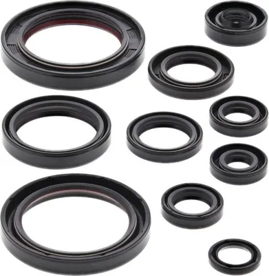 Obrázek produktu pro Sada motorových těsnění WINDEROSA W822330