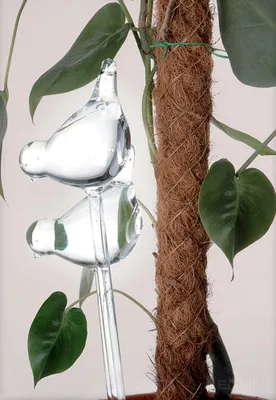 Produktbild von Blumenbewässerungsgerät 2er-Set.