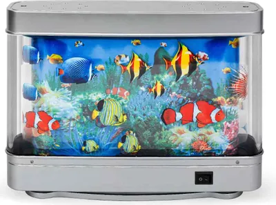 Obrázek produktu pro Akvárium Einnenffer, LED osvětlení, samočisticí systém, 30 x 23 x 7 cm, vícebarevné