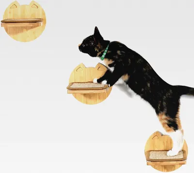 Produktbild von Kletterwand für Katzen, Katzentreppe 3er Set, Steps 15x15 cm in Beige Catwalk