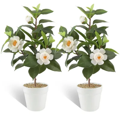 Image de Lot de 2 fleurs artificielles en pot, blanches
