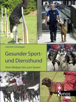 Image de Gesunder Sport- und Diensthund