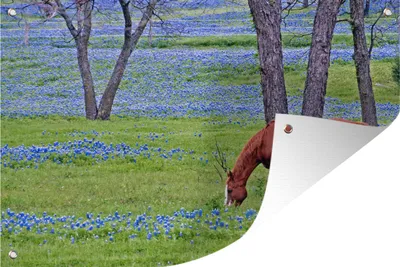 Produktbild von MuchoWow®