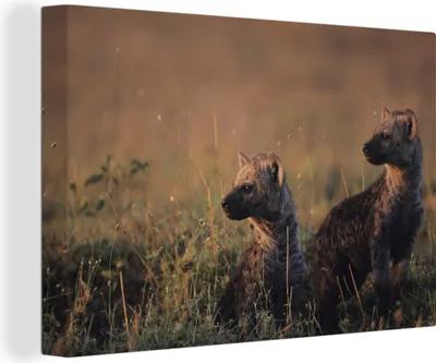 Produktbild von OneMillionCanvasses® - Leinwandbilder - 140x90 cm, Junge Hyänen in der Savanne, Wandbilder Kunstdruck Wanddekoration