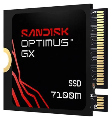 Immagine prodotto di SanDisk Optimus GX 7100M, 1 TB, M.2, 7250 MB/s
