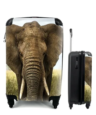 Produktbild von MuchoWow® Koffer Handgepäck Trolley Rollkoffer Kleine Reisekoffer mit 4 Rollen - Elefant - Natur - Gras - Tiere - Landschaft - Cabin Size < 55x40x23 cm & 55x40x20 cm - Fotokoffer - Kabinenkoffer - Boardgepäck - Reise-Box - Reisekoffer - Reisegepäck - Koffer mit Bild - Trolley für Kinder