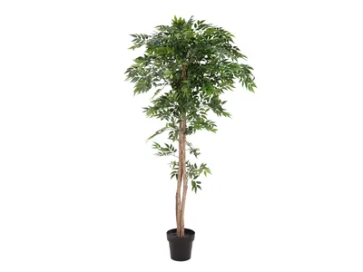 Immagine prodotto di EUROPALMS Ficus Longifolia, pianta artificiale, 165 cm (82506350)