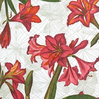 Produktbild von 20 Servietten Natural Amaryllis pure - Moderne Amaryllis weiß 33x33cm