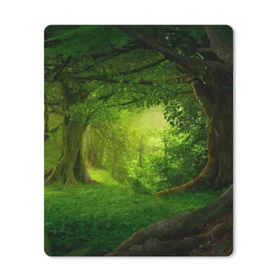 Produktbild von MuchoWow® Mauspad Mousepad Bäume - Wald - Grün - Landschaft - Natur 19x23 cm - Mousepads - Maus Mat - Pad - Mausunterlage - Mauspads - Spielen