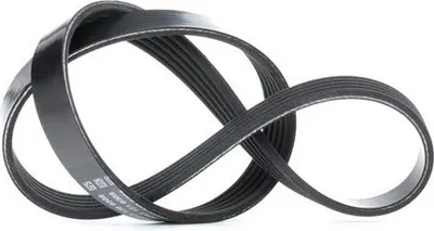 Produktbild von DAYCO Keilrippenriemen 775,0mm für NISSAN MICRA II (K11) 5PK775