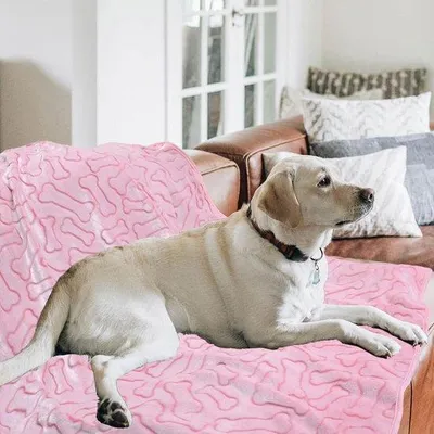 Produktbild von Famanu Hundedecke Weich und Waschbar - 130 x 110 cm