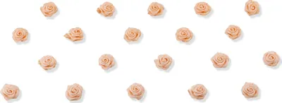 Satinrosen 10mm zum Basteln & Aufnähen 20 Stück Apricot