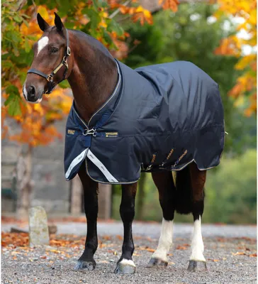 Obrázek produktu pro Horseware Ireland Outdoordecke 250g Amigo Bravo 12 XL Original Medium Weidedecke Navy/Navy & Gold 130 (6'0)
