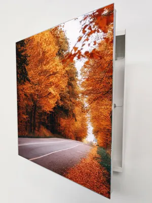 Produktbild von Schlüsselkasten Weiß Metall, bunter Herbstwald Motiv hinter Glas, Moderne Schlüsselbox linksöffnend, 32x28x6,5 cm, 20 Haken für Ordnung am Gang.