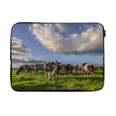 Produktbild von MuchoWow® Laptop Hülle 14 ZollKühe - Licht - Gras Laptoptasche - Laptoptasche - Stoßsicher - Schutzhaube