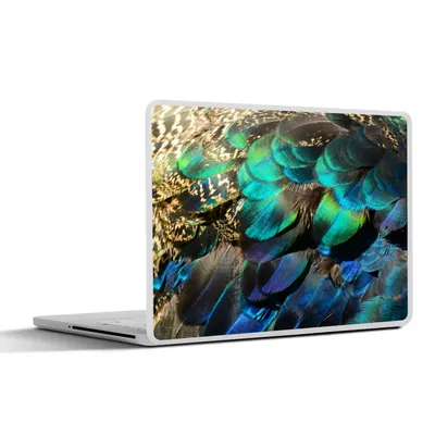 Produktbild von MuchoWow® Laptop Aufkleber Sticker Cover Federn - Pfauenfedern - Pfau - Blau - Kunst 31x22.5 cm - Laptop-Deko