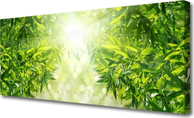 Produktbild von Tulup Leinwand-Bilder 125x50 Wandbild Canvas Kunstdruck Blätter Natur