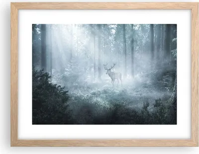 Produktbild von Gerahmtes Poster - Rahmen in heller Eiche - Hirsch Wald Morgendämmerung - 40x30 cm - Wand Bild - Wanddeko - Wandbilder - Kunstposter - Wandposter - Bilderrahmen - Bilder - Kunstdruck - P2NAA40x30-4667