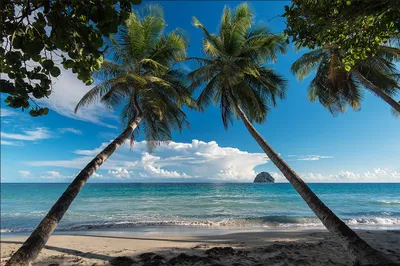 Produktbild von Muralo Fototapete Strand 225 (B) x 150 (H) cm Vlies Tapete Wandtapete Ozean Himmel Palmen Wohnzimmer Schlafzimmer moderne Wandbilder XXL Natur Panorama Wasser Wand Dekoration