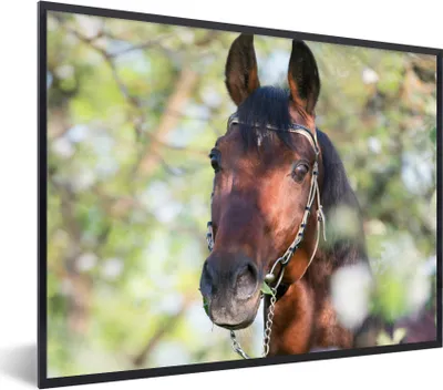 Produktbild von MuchoWow® Gerahmtes Poster Pferde - Blüte - Frühling - Tiere 40x30 cm - Poster mit Schwarzem Bilderrahmen Wandposter Rahmen Foto Bilder - Kunstposter - Wanddekorationen