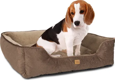A beagle dog sitting in a brown dog bed.