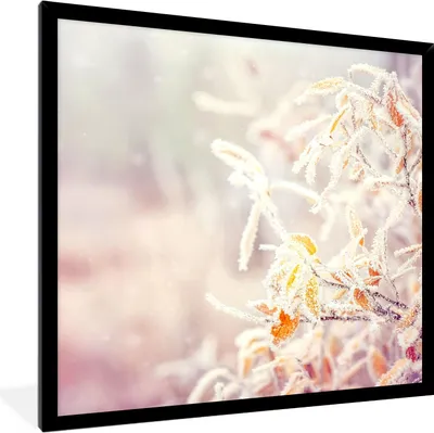 Produktbild von MuchoWow® Gerahmtes Poster Winter - Äste - Schnee - Natur 40x40 cm - Poster mit Schwarzem Bilderrahmen Wandposter Rahmen Foto Bilder - Mit Rahmen - Wanddekoration Schlafzimmer