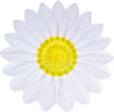 Produktbild von Dekofächer Margerite 60cm, schwer entflammbar