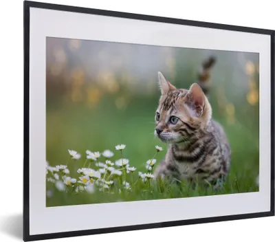 Produktbild von MuchoWow® MuchoWow® Gerahmtes Poster Ein Kätzchen im Gras 40x30 cm - Poster mit zchwarzem Bilderrahmen - Bilderrahmen - Poster im Rahmen