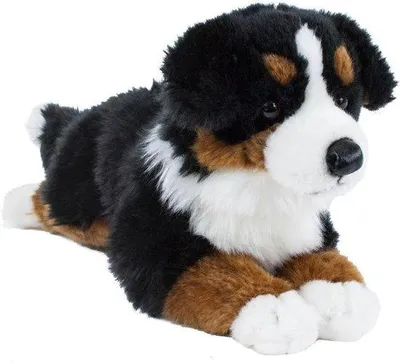Produktbild von Berner Sennenhund Plüschtiere 38 cm Liegend