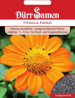 Immagine prodotto di Dürr-Samen - Tithonie Fackel rosso arancio annuale 1 15m - Semi - 1906