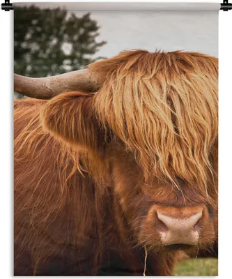 Produktbild von MuchoWow® Wandteppich Wandbehang Schottische Highlander - Braun - Gras 150x200 cm Tapisserie Dekoration Wandtuch - Wandaufhängung - Moderner