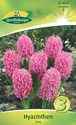 Produktbild von Hyazinthen Rosa (3 Stück) | Hyazinthenzwiebeln von Quedlinburger