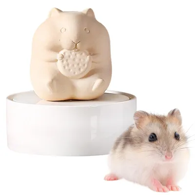 Zdjęcie produktu dla Ceramiczna urna pamiątkowa dla chomików i małych zwierząt