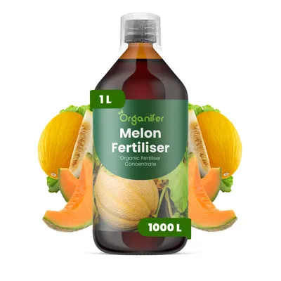 Obrázek produktu pro Melón Tekuté Hnojivo 1 L – 2-1-8 NPK – Pro Melóny – Podporuje Silné Kořeny, Zdravý Růst & Vysoké Výnosy – Organifer