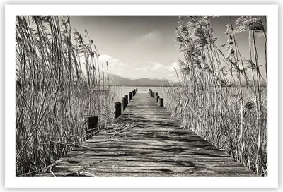 Produktbild von Poster - Poster ohne Rahmen - Brücke Pier Sepia - 91,5x61 cm - Wand Bild - Wanddeko - Wandbilder - Kunstposter - Wandposter - Bilder - Kunstdruck - Wanddekoration - Wandbild - P2XAA91x61-4928