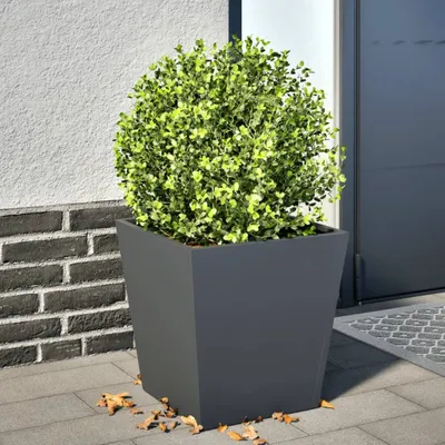 Image de Maison Exclusive - Bac à plantes anthracite 40x40x40 en acier