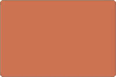 Produktbild von 4er Set Tischset Uni "Sienna" - Rutschfest - Kunststoff -Untersetzer - Platzdeckchen - Platzsets - Rot - 30x45cm