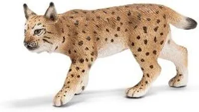 Produktbild von schleich Luchsweibchen, 3 Jahr(e), Braun, Kunststoff