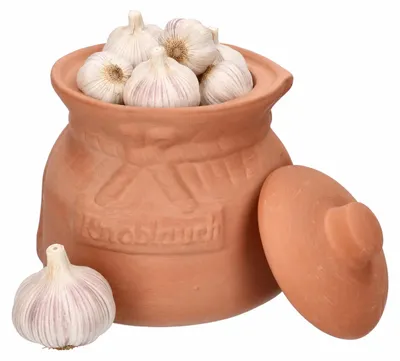 Produktbild von Mambocat Knoblauchtopf Knofi Terrakotta Vorrats-Dose Deckel Aufbewahrung Gemüse-Topf natural, KI-generiertes Bild