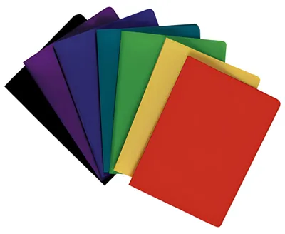 Image de EXACOMPTA 8540E EXACOMPTA Livret de présentation, DIN A4, PP, 40 pochettes, couleurs assorties