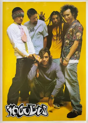 Zdjęcie produktu dla Incubus - Plakat - 64x90 cm