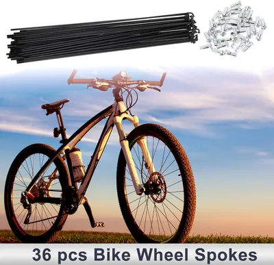 Image de 1 Ensemble De Rayons De Vélo Universels 12G Longueur 305Mm Rayons De Roue De Vélo Téton En Acier Au Carbone Noir