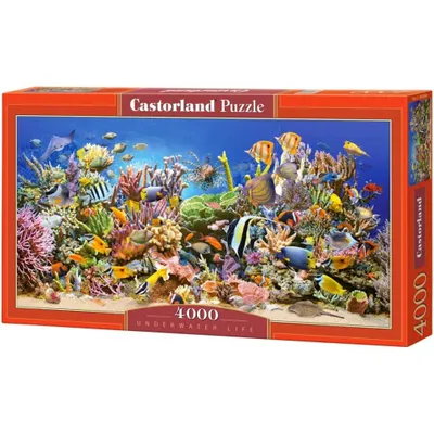 Immagine prodotto di Puzzle 4000 pezzi Vita sottomarina 400089