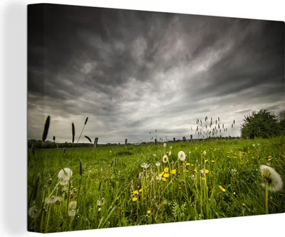 Produktbild von OneMillionCanvasses® - Leinwandbilder - 150x100 cm, Wiese vor dem Sturm, Wandbilder Kunstdruck Wanddekoration