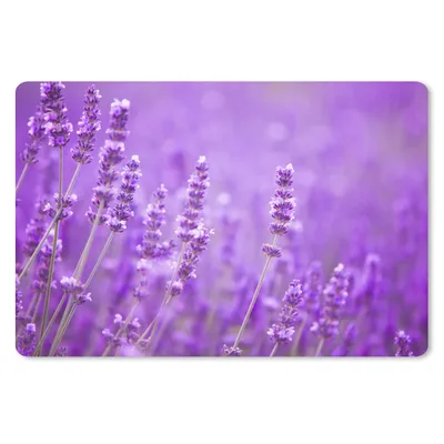 Produktbild von MuchoWow® Schreibtischunterlage Lavendel - Nahaufnahme - Blumen - Lila 60x40 cm - XXL Mauspad - Großes Mauspad
