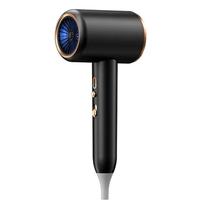 A black hairdryer with gold accents is shown against a white background.